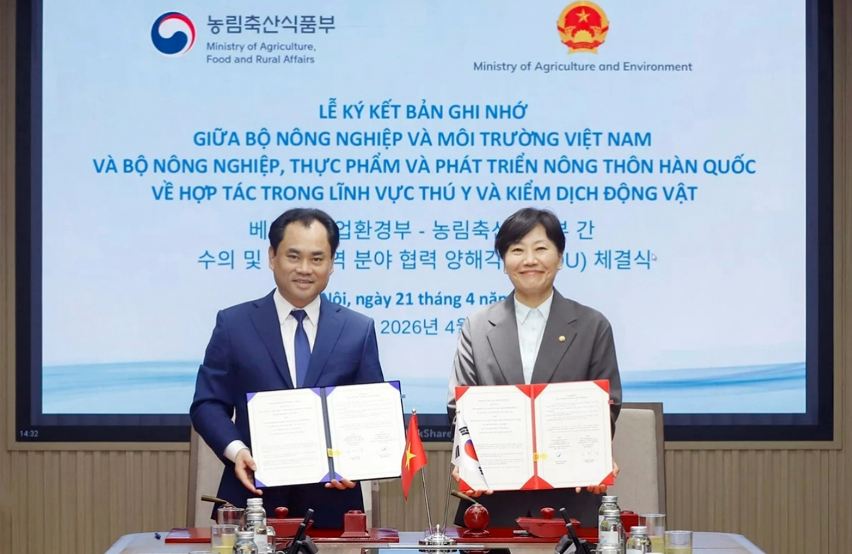 Market access granted for processed chicken in Vietnam–RoK deal